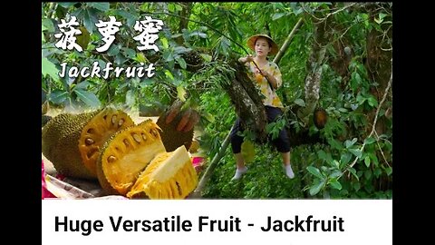 Huge versatile fruit