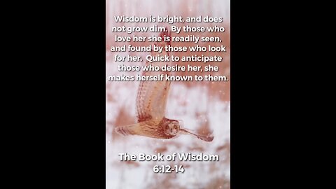 The Book of Wisdom: 6:12-14