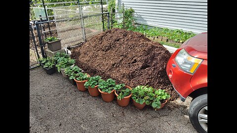 October Garden Update 10/23/24