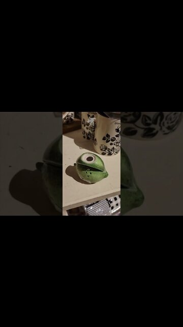 Frustrating Salt & Pepper Shaker