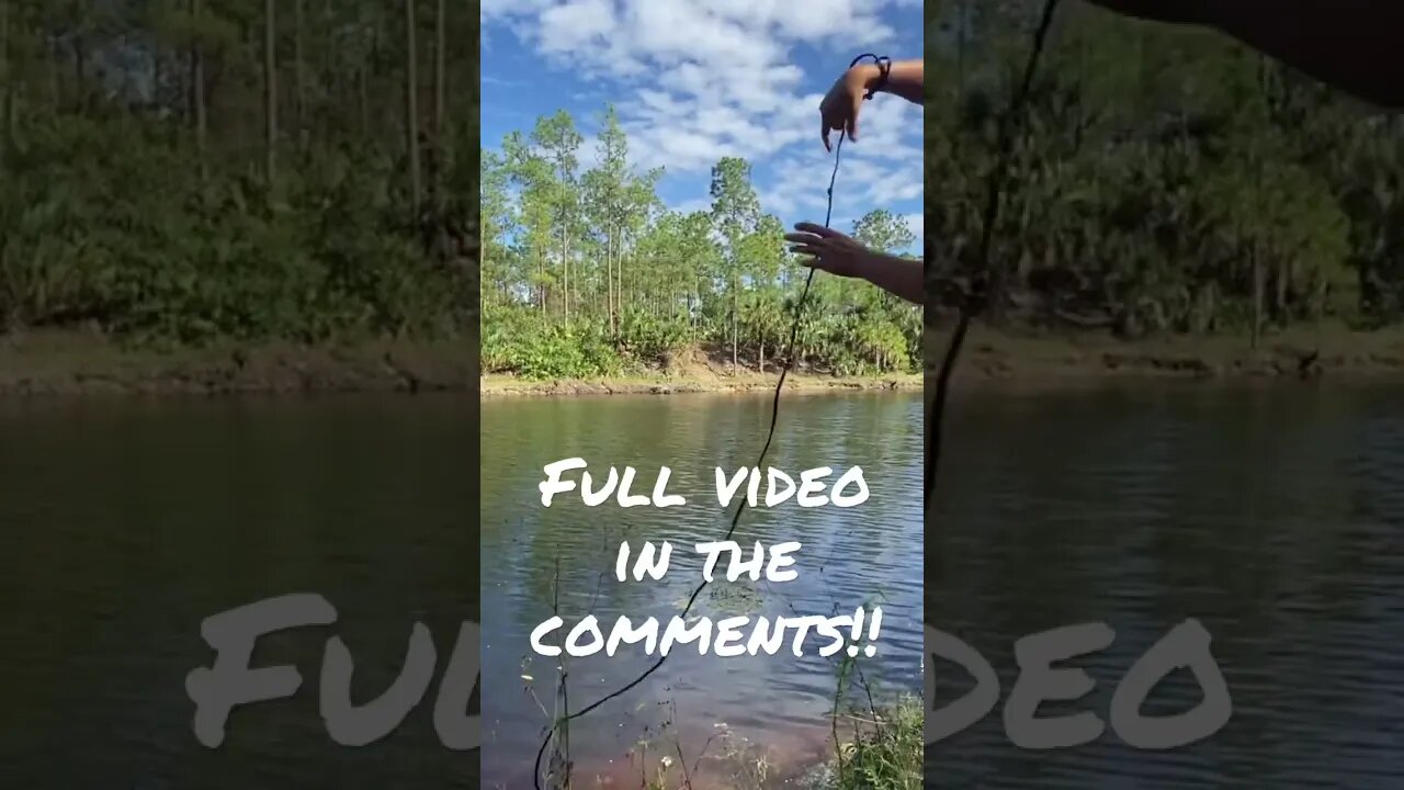 Cast net video coming up!