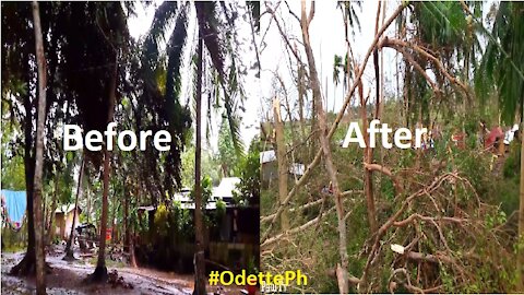 Our House before and after the ravages of Super Typhoon "Odette" International name "Rai"