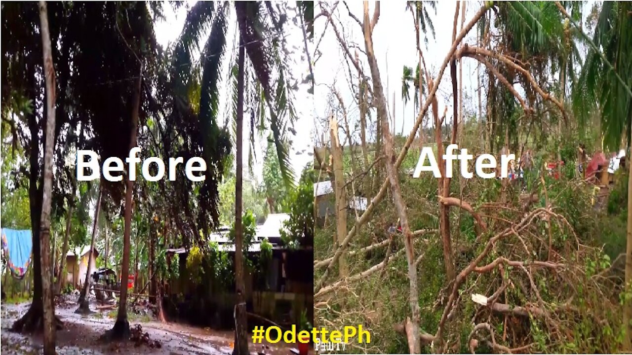 Our House before and after the ravages of Super Typhoon "Odette" International name "Rai"