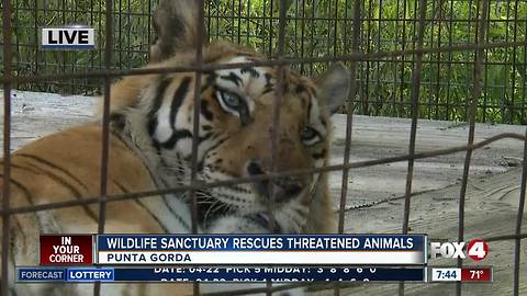 Octagon Wildlife Sanctuary rescues threatened, abused animals -- 7:30am live report