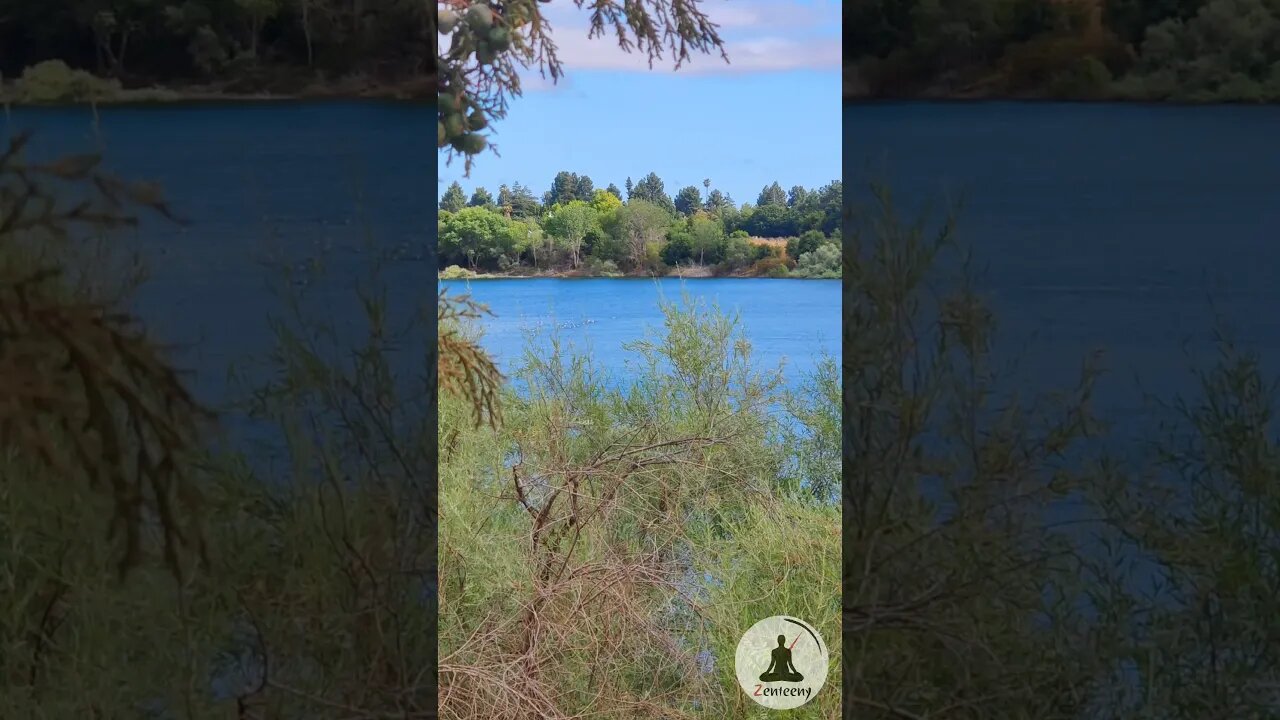 Quarry Lakes Regional Park - A Calming Oasis in the Bay Area