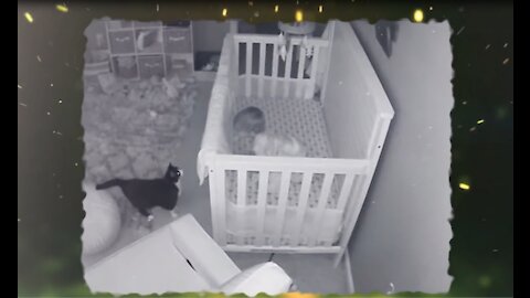 Hero Cat saves 11 month old baby from crazy babysitter.