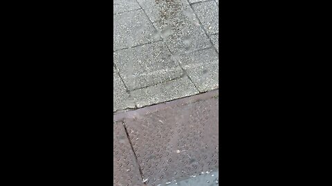 Hail stones and freezing Arctic Breeze Wales 12/09/2024