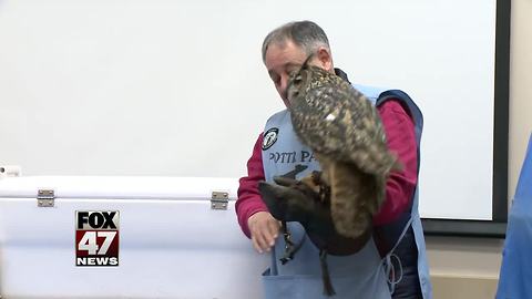Children meet animals from zoo
