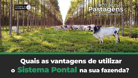 Quais as vantagens de utilizar o Sistema Pontal na sua Fazenda? Foco nas Pastagens.