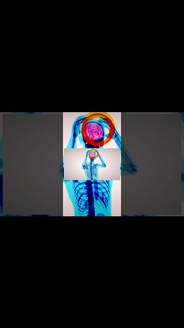 Domino's Pizza The Untold Story