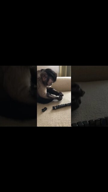 I love magnets too! #shorts