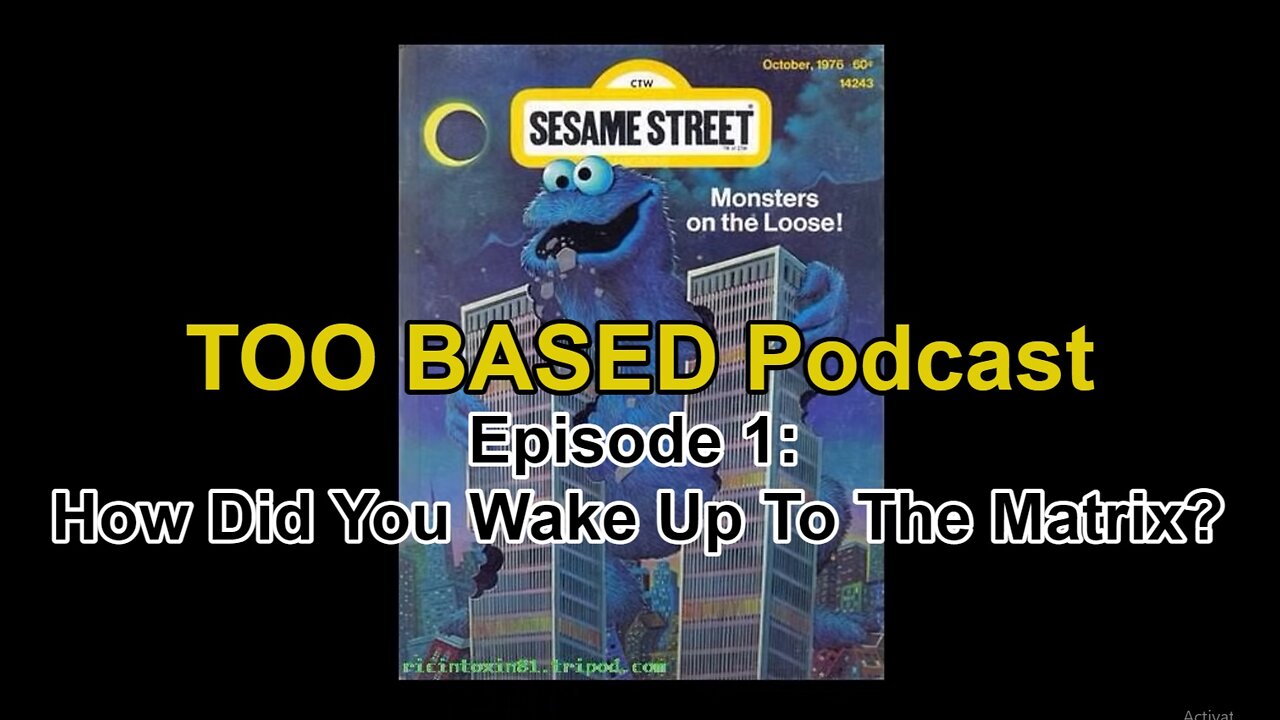 TOO BASED Podcast | Episode 1: How Did You Wake Up To The Matrix?