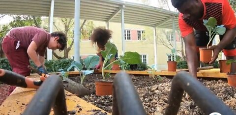 Woman teaches West Palm Beach students how to garden, grow their futures