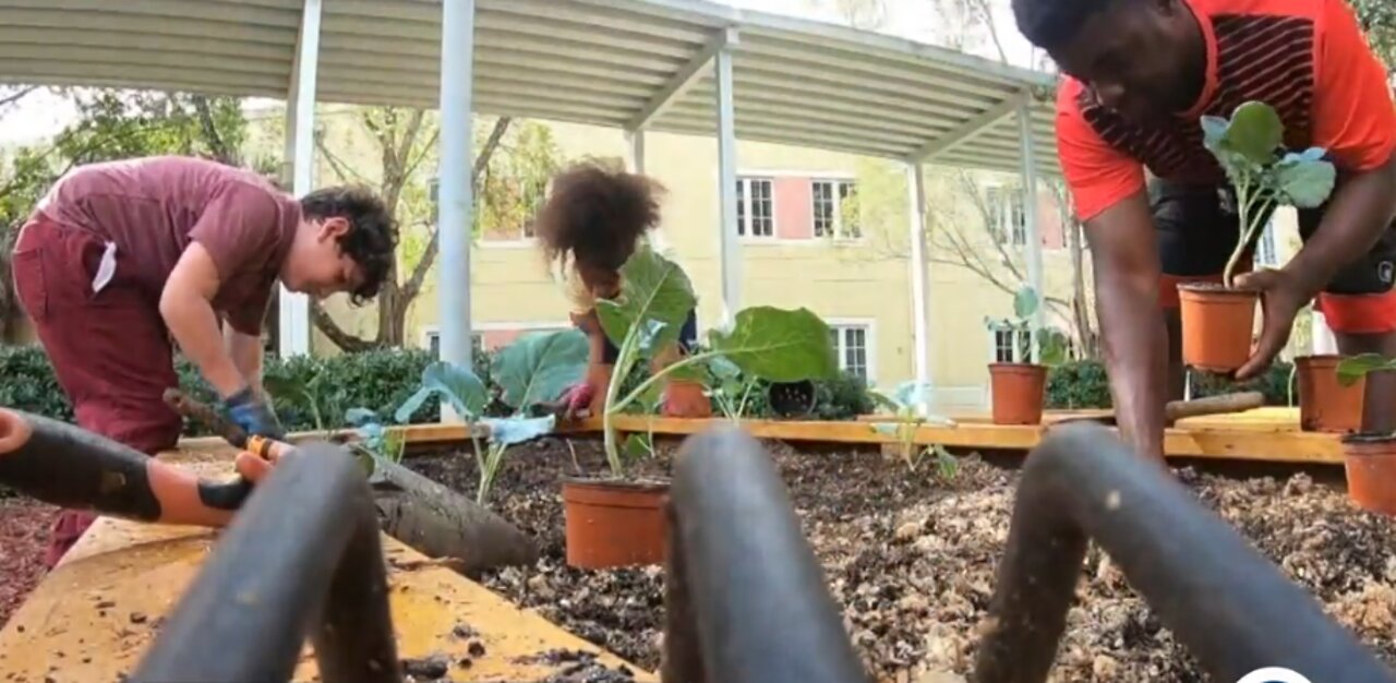 Woman teaches West Palm Beach students how to garden, grow their futures