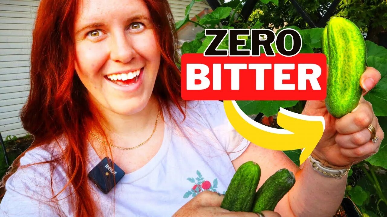 Escape the Bitterness: Secrets to Perfect Garden Cucumbers 🥒