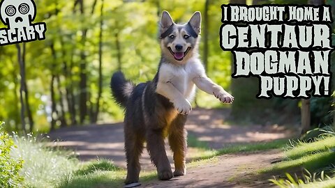 "I Brought Home a Centaur Dogman Puppy!" (New, Allegedly True)