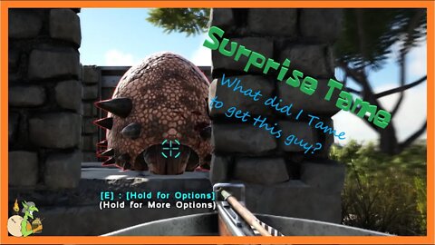 Lost Island Episode 7 Surprise Tame!