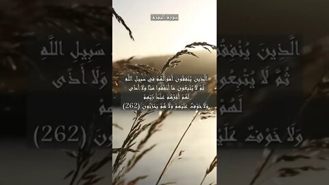 سورة البقرة الآية 261 و 262