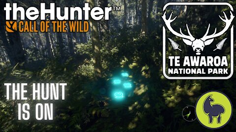 The Hunter: Call of the Wild, The Hunt Is On, Te AWaroa- PS5 4K