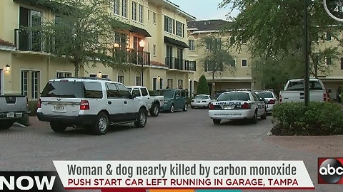 Woman and dog nearly killed by carbon monoxide