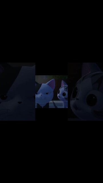 Daily #30 Japan Conversation with Chi #shorts #cat