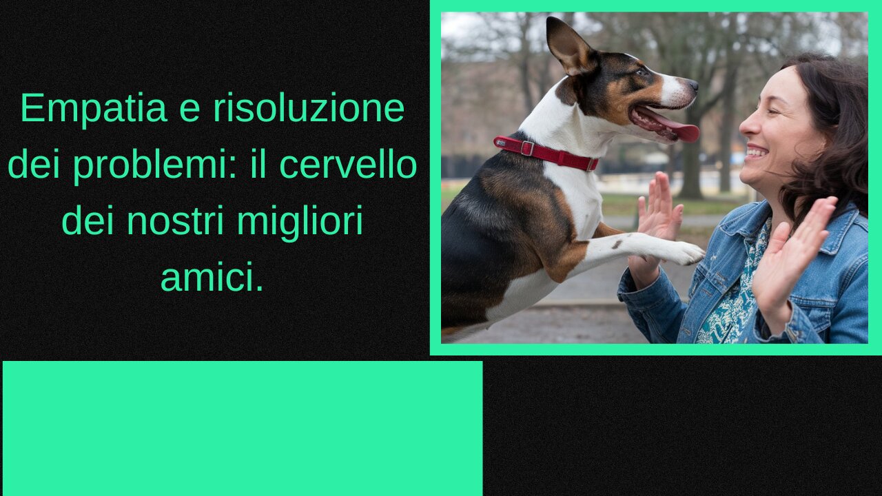 Empatia e risoluzione dei problemi: il cervello dei nostri migliori amici.