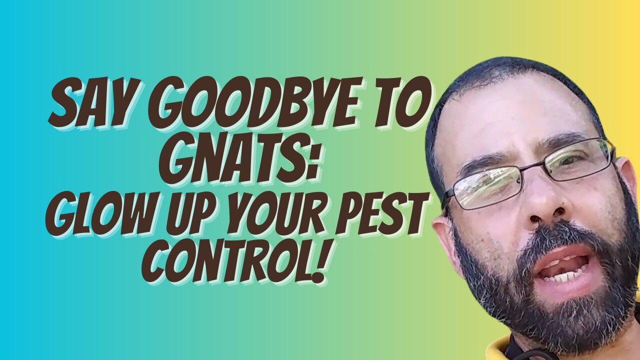 Mastering Pest Control: Eliminate Fungus Gnats and Drain Flies for Good!