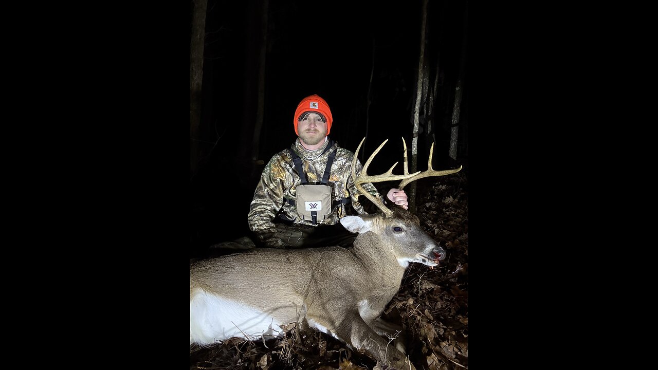 BIG BUCK DOWN