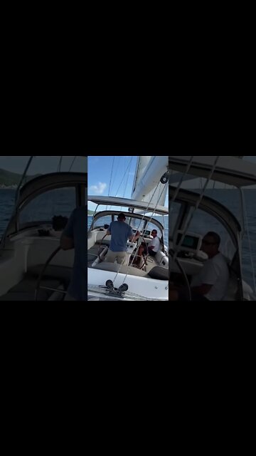 Sailing Around Maritime Cardinals #shorts