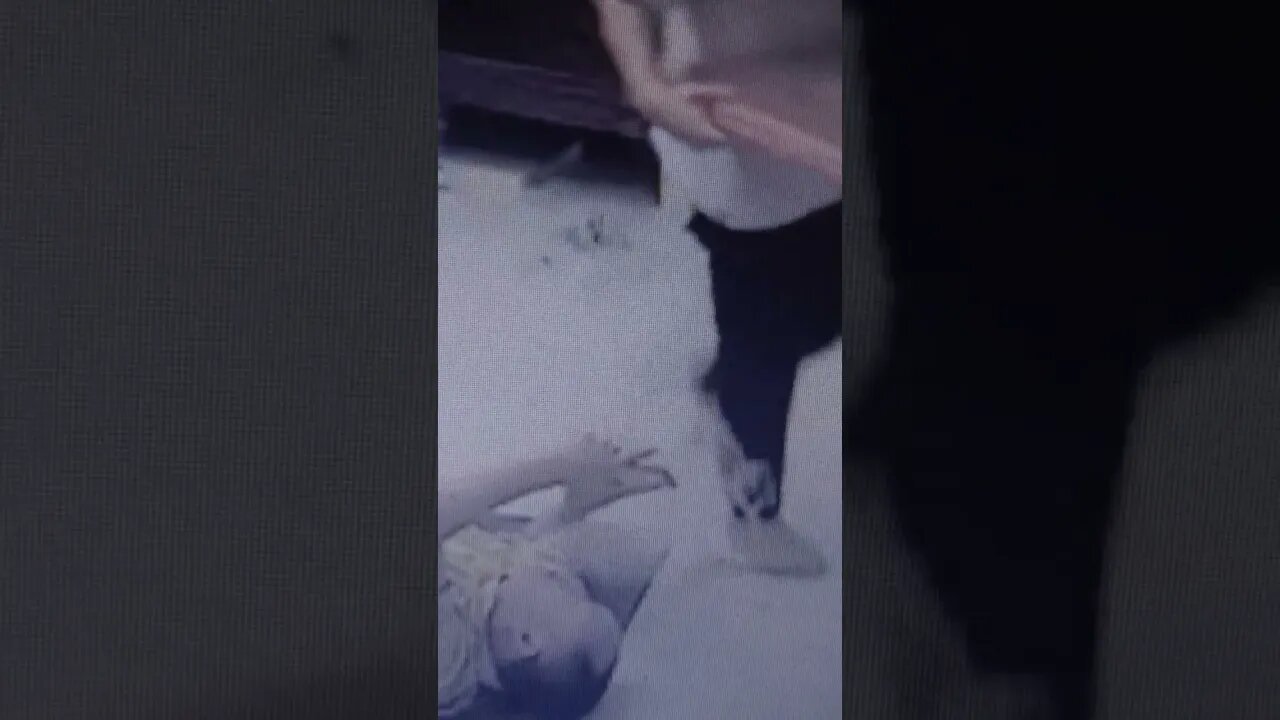 Brought to you by random security cameras.