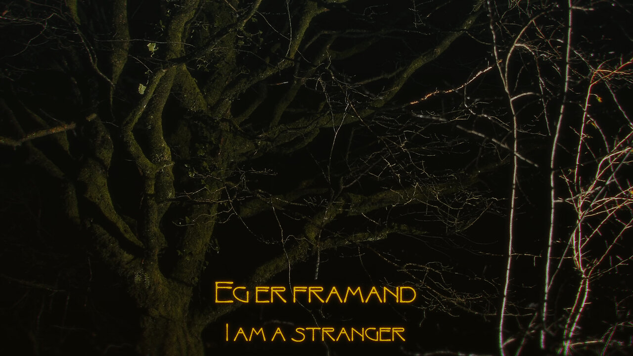 SYLVAINE - Eg Er Framand (Official Visualizer)