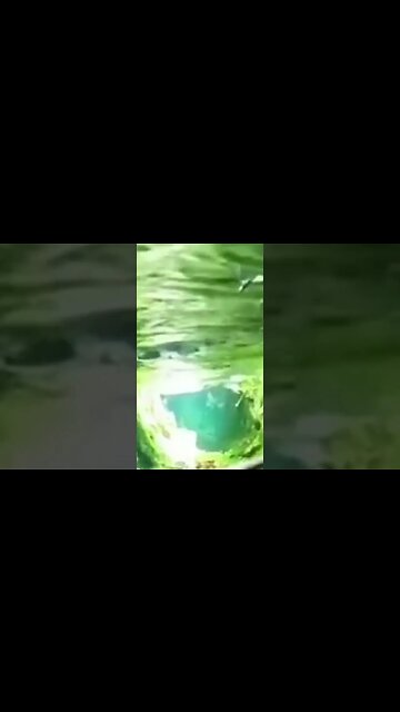 Nature is beautiful #shorts #mtb