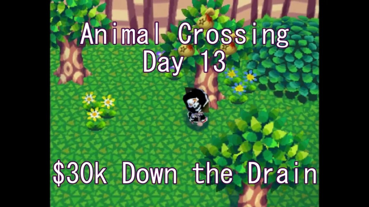 Animal Crossing: Day 13