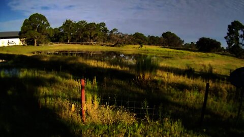 Sunrise at the ranch