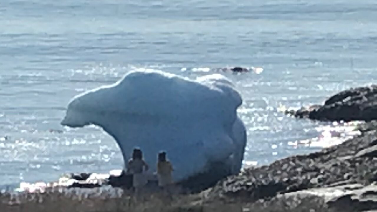 Kamala Debate seen from Greenland