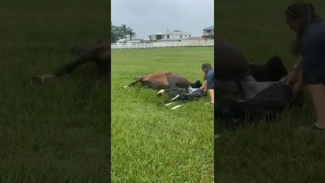 Hours baby delivery||woman helps to her||horse giving birth#horses#lullaby#sleeping