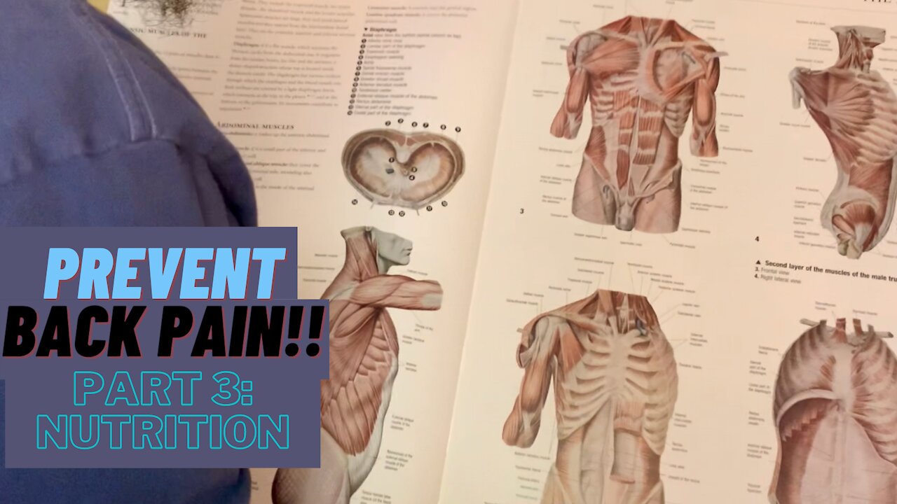 HOW YOUR DIET IS HURTING YOUR BACK!! (PT3/6: NUTRITION)