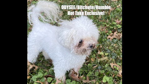 Rumble/Odysee/Bitchute Exclusive Hot Take: March 9th 2022 News Blast!