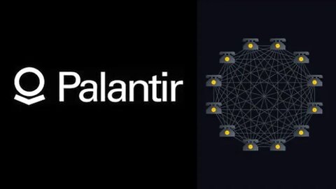 Palantir Network Effects