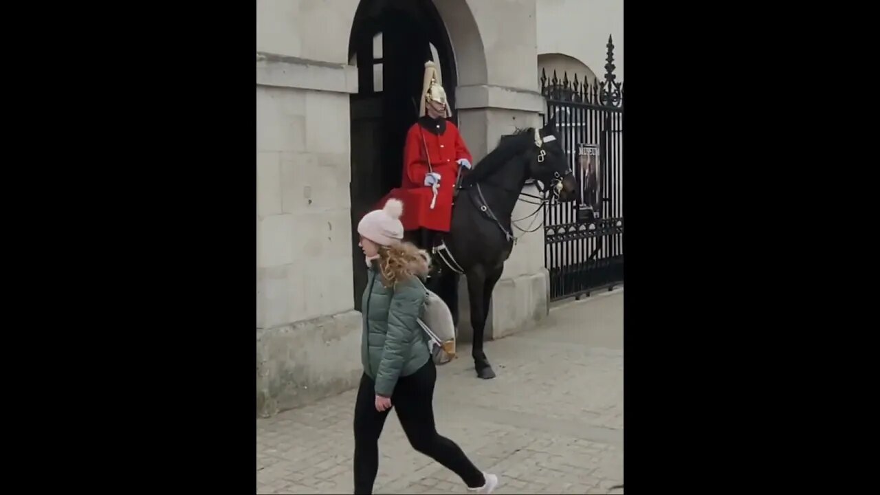 The guard clears the floor #horseguardsparade