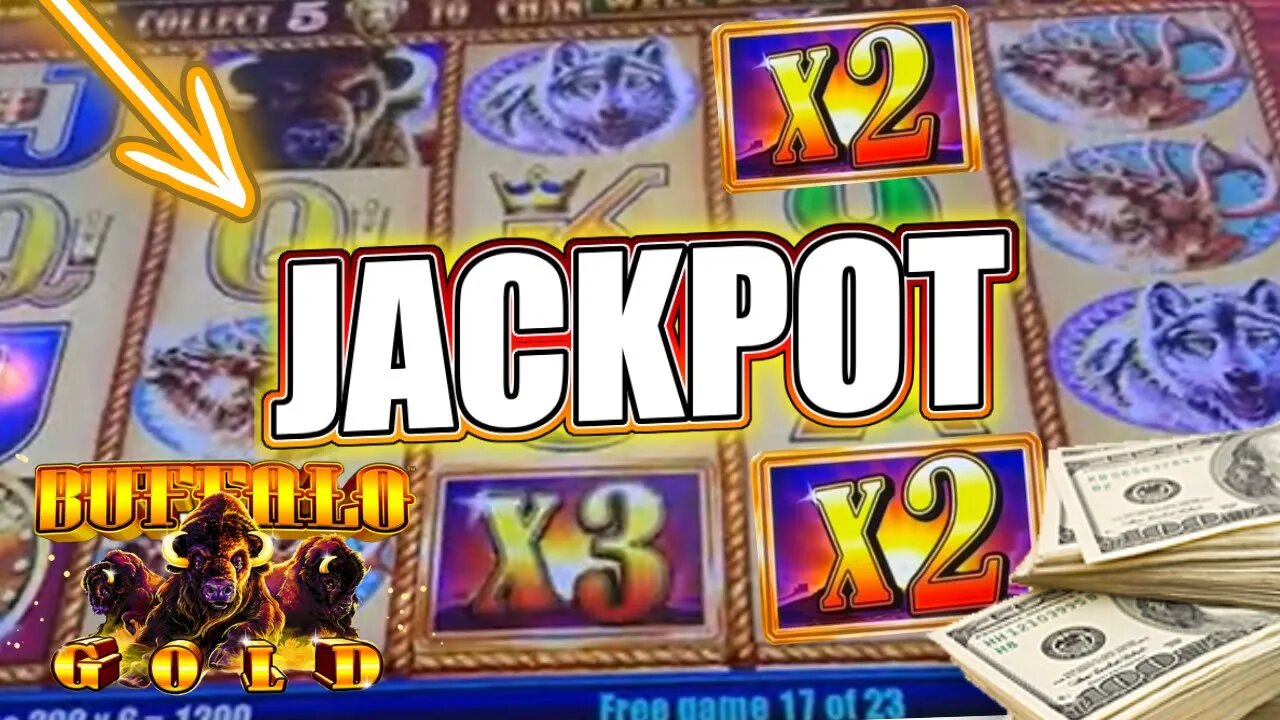 🐃 BUFFALO GOLD Jackpot HANDPAY! 🍻 Fan Favorite WIN on a Fan Favorite SLOT MACHINE