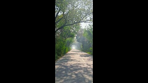 Indian Nature beauty