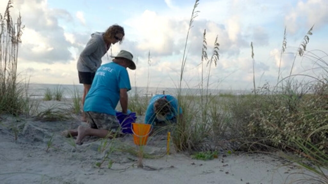 "Why do we need sand on the beach?"