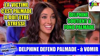 AFFAIRE PIERRE PALMADE: DELPHINE WESPISER LE DEFEND sur TPMP #karlzero #révélations #hanouna #Verdez