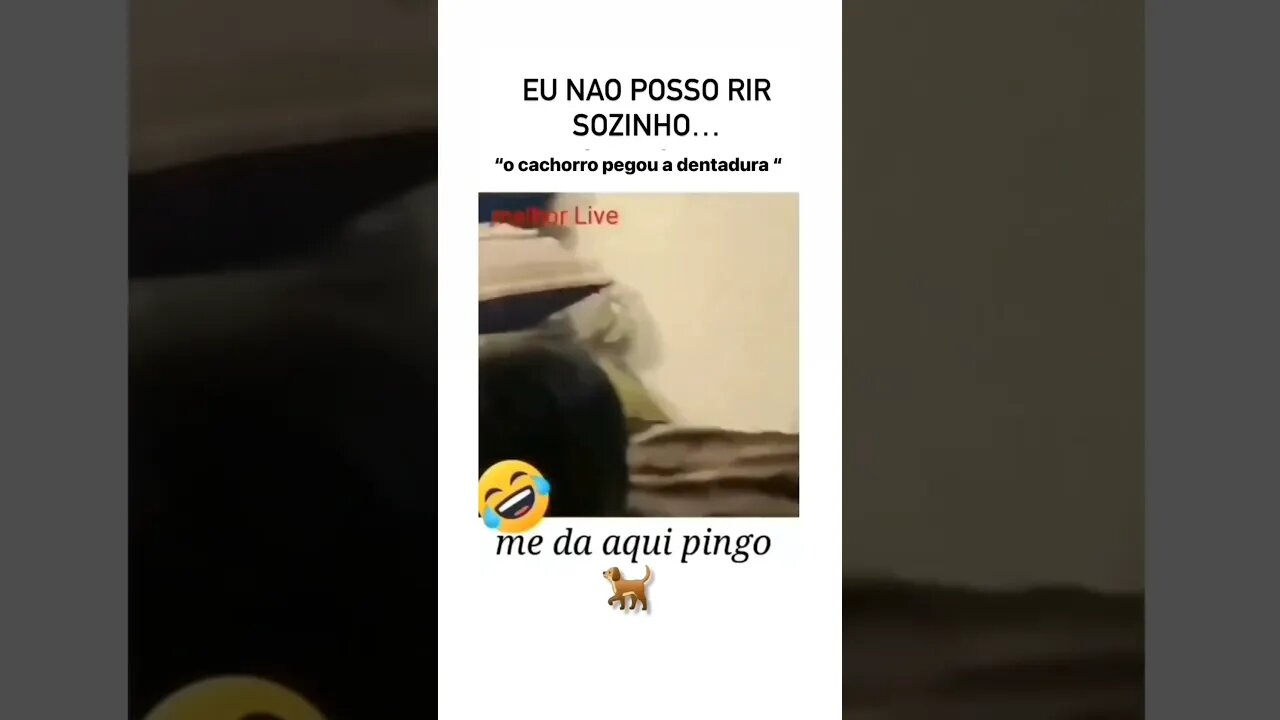 kkkk