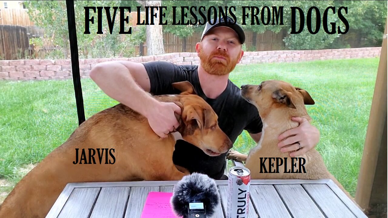 Five Life Lessons From Dogs