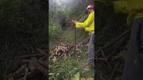 Young man is cutting firewood