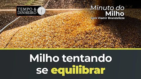 Milho tentando se equilibrar