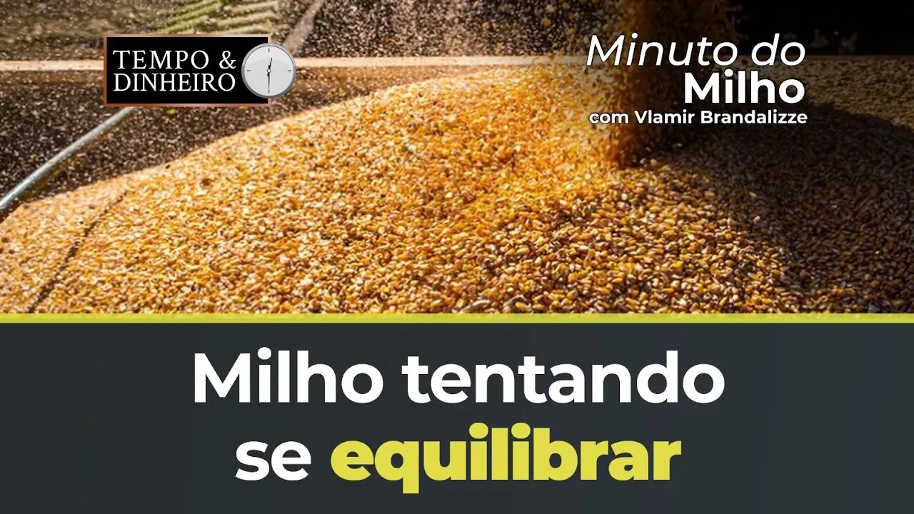Milho tentando se equilibrar