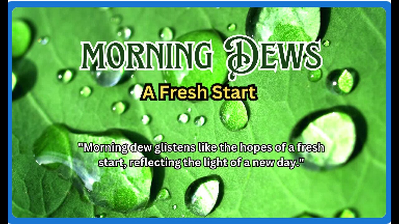 Morning Dew: A Delicate Embrace of Dawn